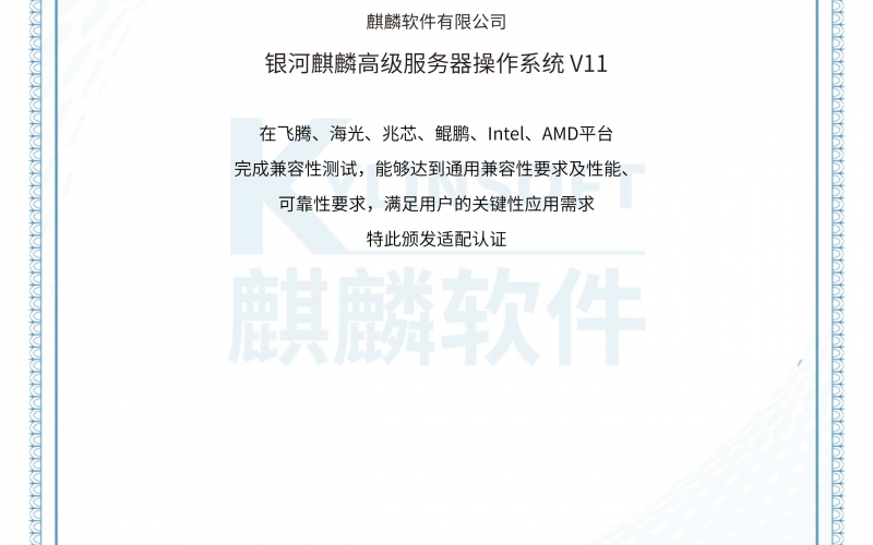 综合安防系统V1-麒麟软件适配